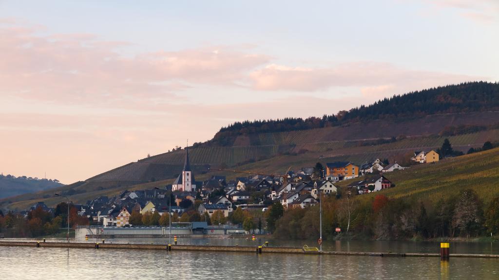 Ferienwohnung Am Edelberg Enkirch Bagian luar foto