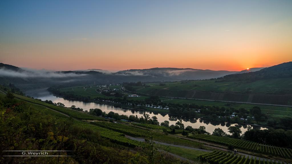 Ferienwohnung Am Edelberg Enkirch Bagian luar foto